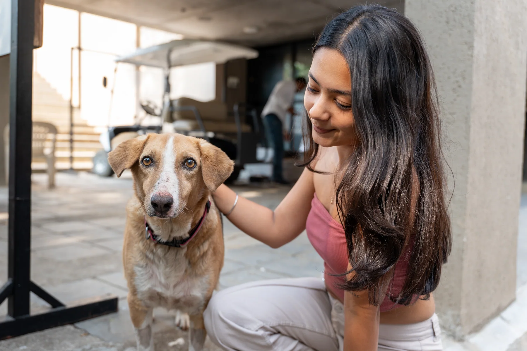 A pet parent spending time with a dog